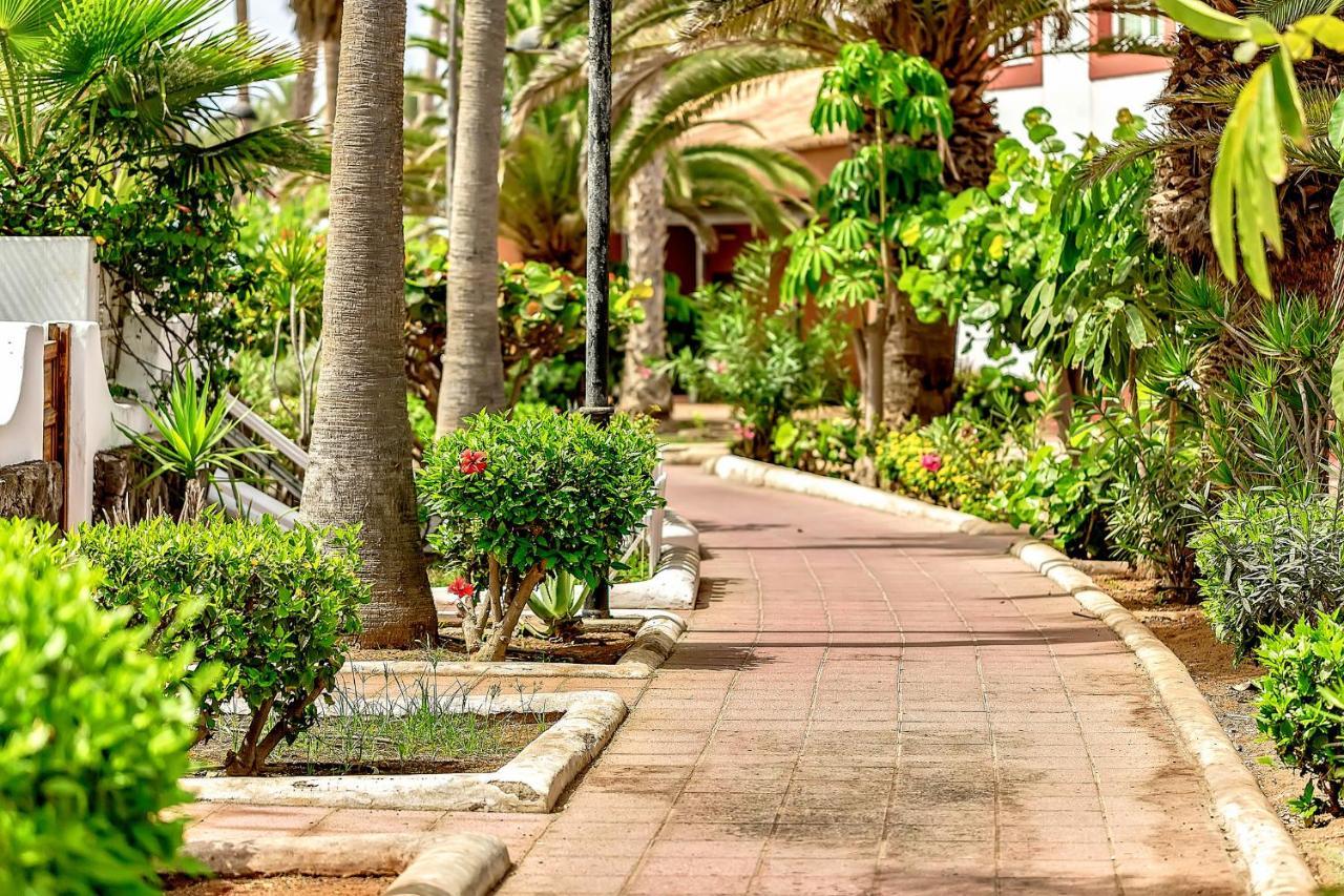 Parque Santiago 2 Luxury Studio Apartment Playa de las Americas  Exterior photo